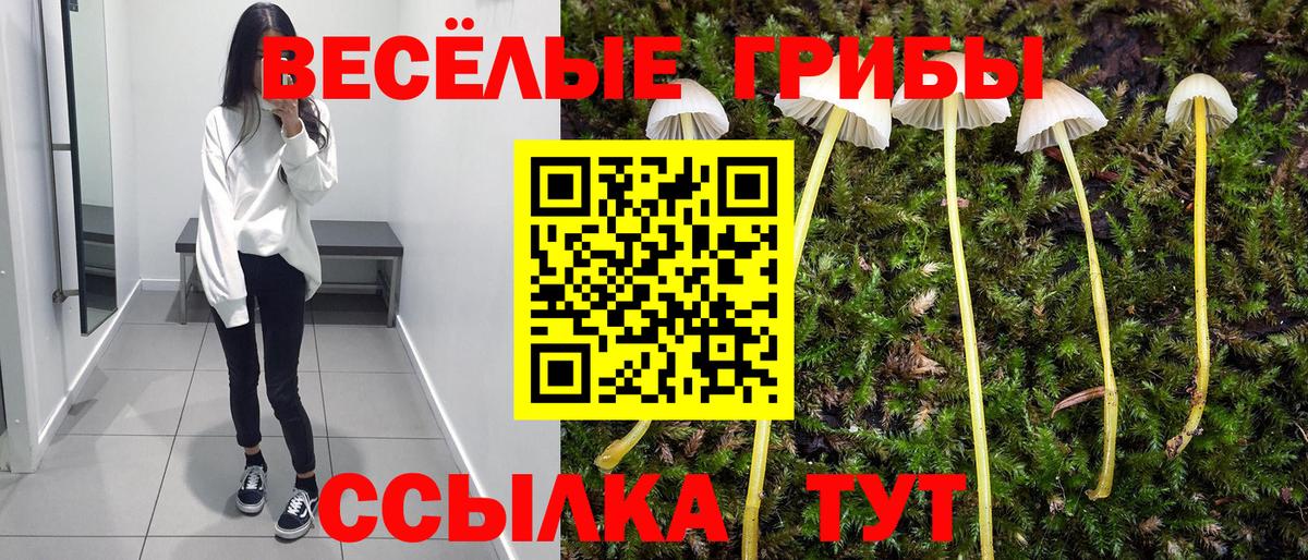 Менделеевск  купить закладку  Псилоцибиновые грибы GOLDEN TEACHER  Вход с VPN  Псилоцибиновые грибы Cubensis 
